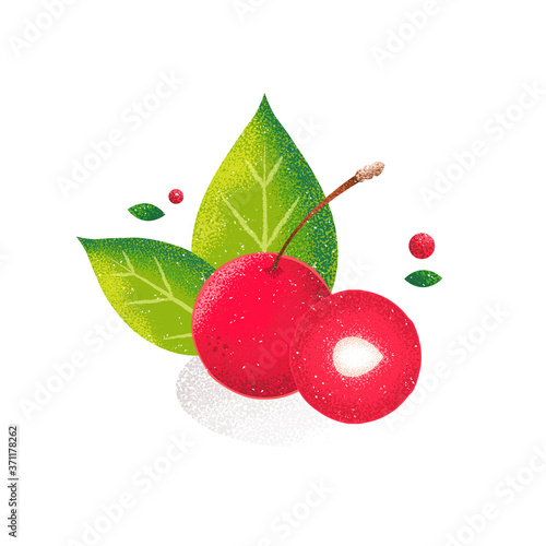 Red cherry on white background. Fruit card in grunge style. Noise texture shadow.