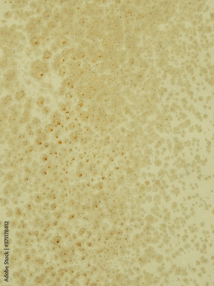 mold on brown canvas texture