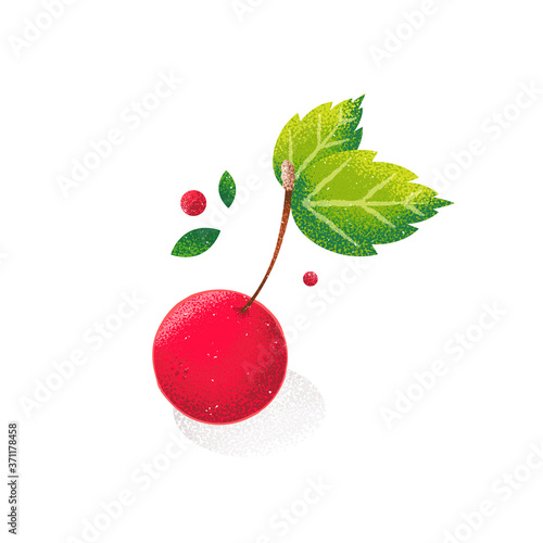 One cherry on white background. Fruit card in grunge style. Noise texture shadow.