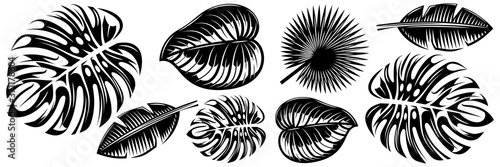 Set of various tropical leaves. Design elements. Monochrome vector illustration