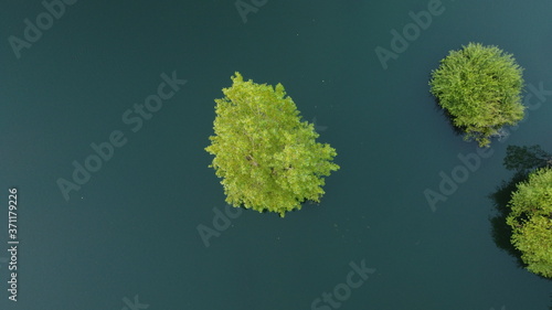 Árbol sumergido en el embalse fotografiado desde arriba con un Dron 