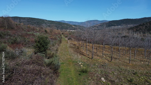 Camino de monte que se pierde por el fondo del paisaje.