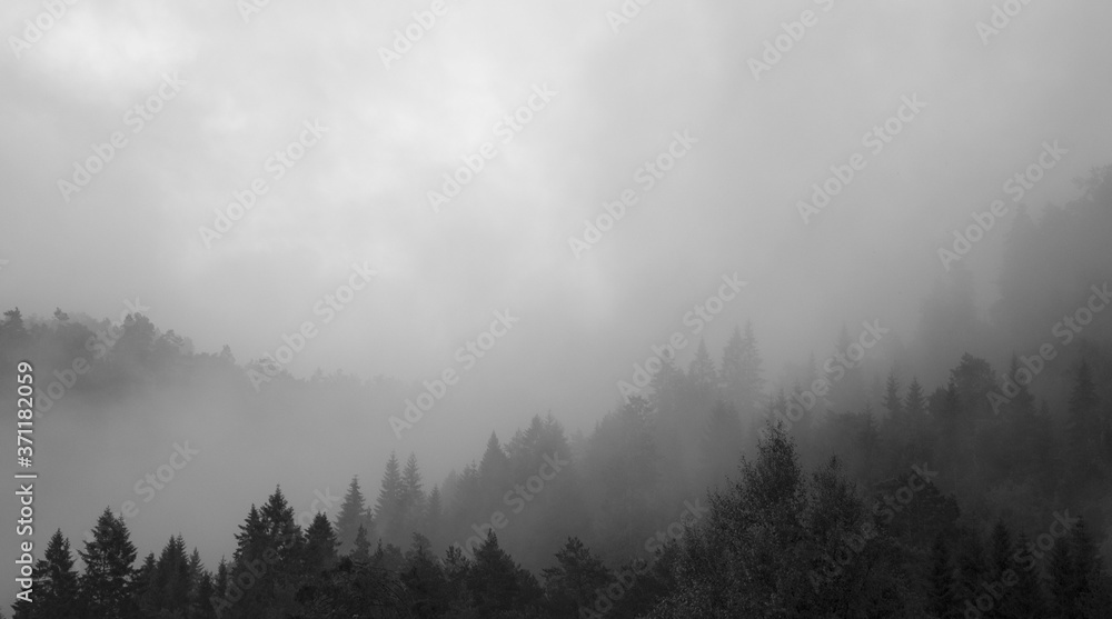 Fototapeta premium Mountain landscape with trees