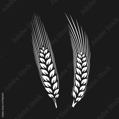 Spike of wheat illustration.
