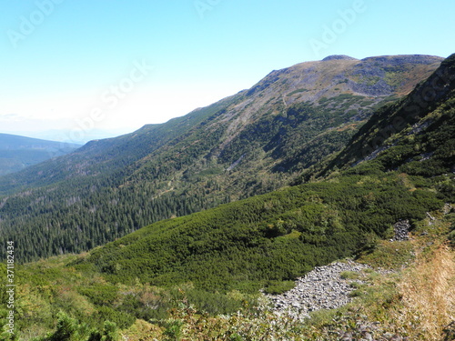 Mountain landscape with trees (ID: 371182434)