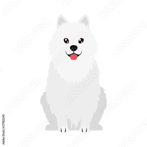 cartoon maltese dog icon, flat style