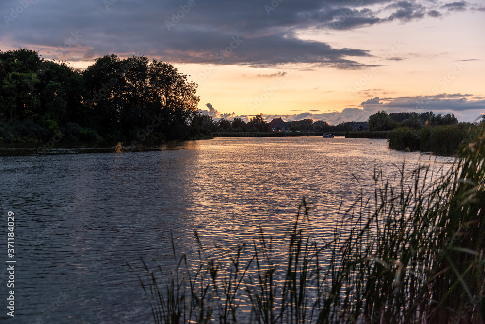 Reeds and lake at sunset