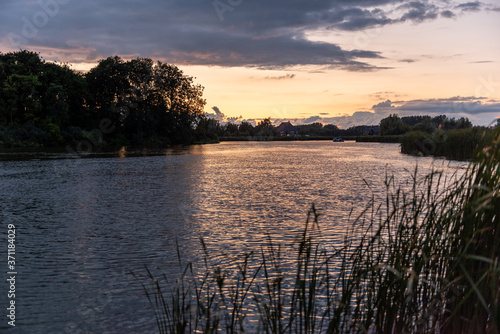 Fototapeta Naklejka Na Ścianę i Meble -  Reeds and lake at sunset