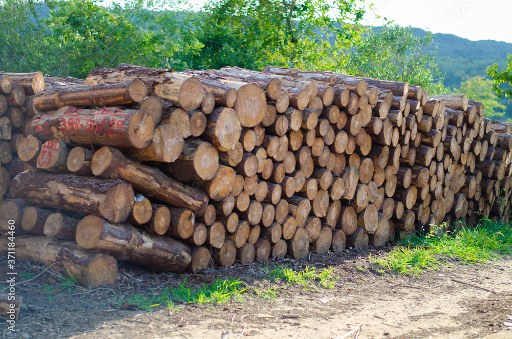 stack of firewood