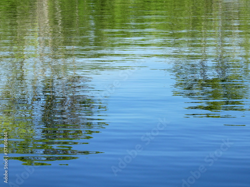 abstract reflection of tree on water in the park, natural background