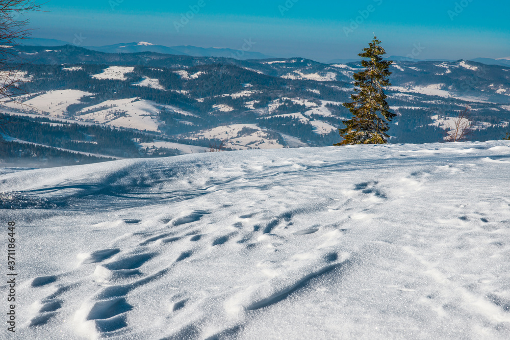 Beautiful winter panorama of the hills