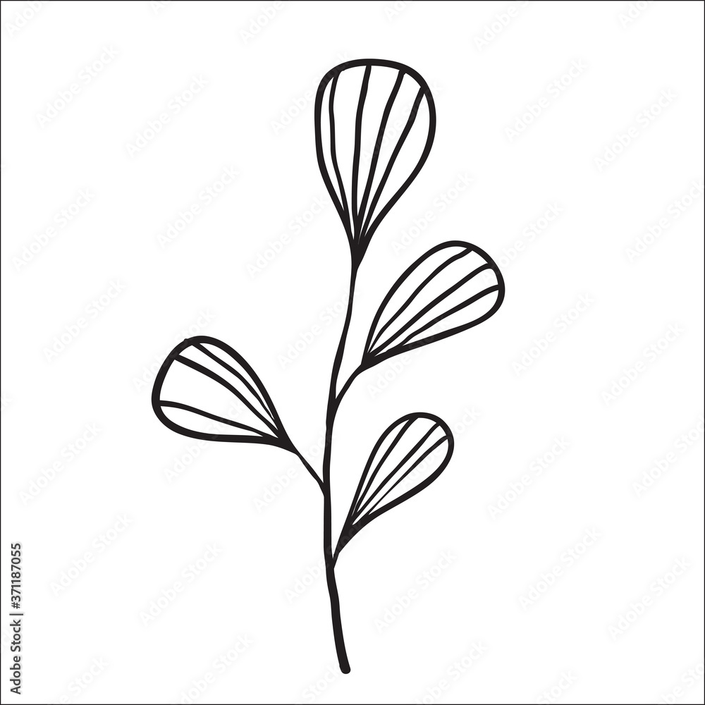 Obraz premium Black and white sketch plant line on white background. Vector illustration.