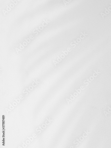 abstract shadow of palm leaves on white concrete wall