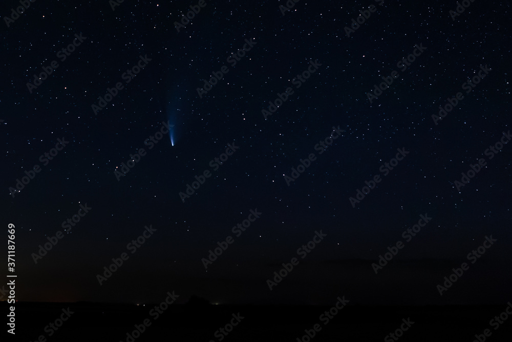 Fototapeta premium comet neowise in the starry night sky.