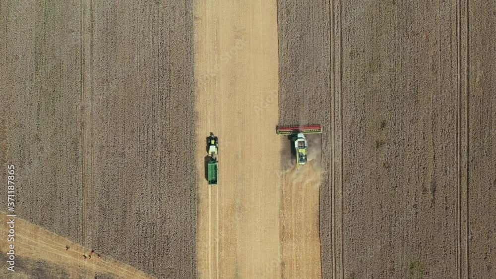 Aerial view of combine harvester and agricultural vehicle that works on the field at daytime. Aerial view of combine harvester and agricultural vehicle that works on the field at daytime.