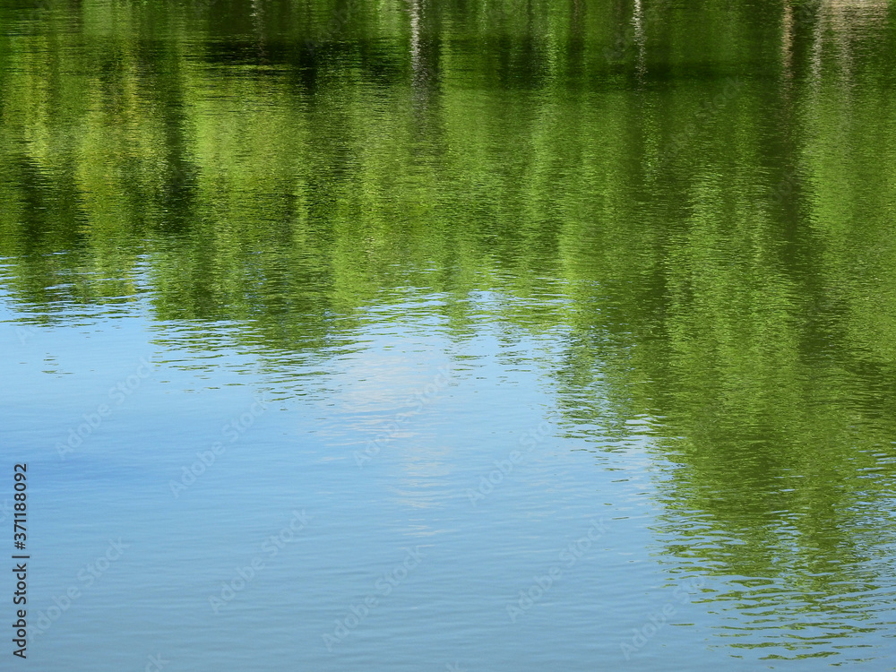 abstract reflection of tree on water abstract reflection of tree on water