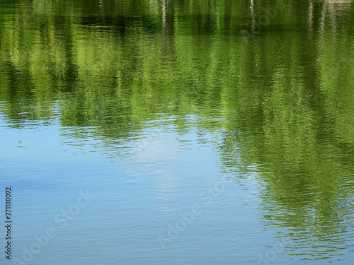 abstract reflection of tree on water