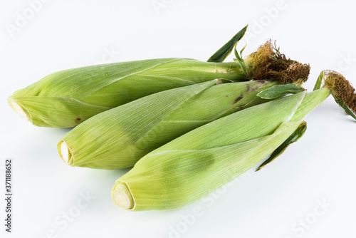 Sweet corn isolated on white background