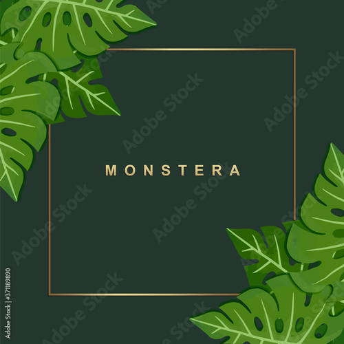 Monstera leaves frame background  Realistic house plants. 