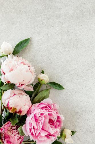 Fototapeta Naklejka Na Ścianę i Meble -  Beautiful pink peony flowers on gray stone table with copy space for your text. Flat style, top view