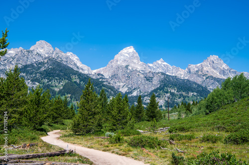 This is a view of the trail that leads to Taggart Lake. Shown here are the South Teton, Nez Perce, Middle Teton, Grand Teton, Mt. Owen and Teewinot peaks.
Grand Teton National Park 