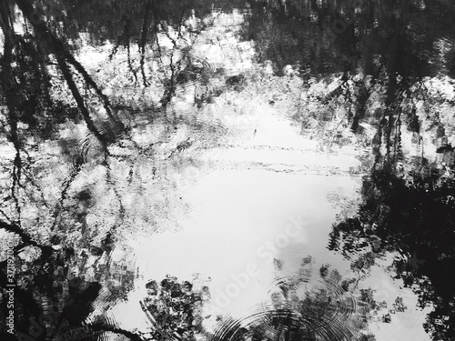 abstract reflection of water with shadow of tree black and white style