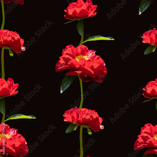 Colorful floral seamless pattern with red peony flowers collage on black background. Stock illustration.
