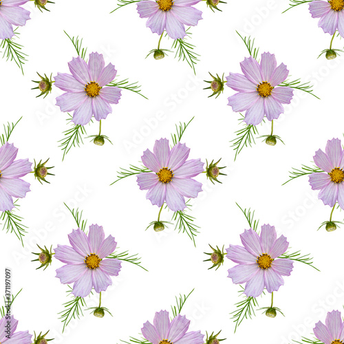 Fototapeta Naklejka Na Ścianę i Meble -  Colorful floral seamless pattern with pink cosmos flowers collage on white background. Stock illustration.