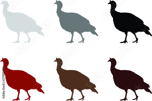 set of turkey animals