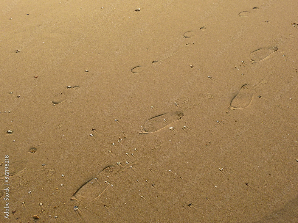 Footprints on the sand at low tide Footprints on the sand at low tide
