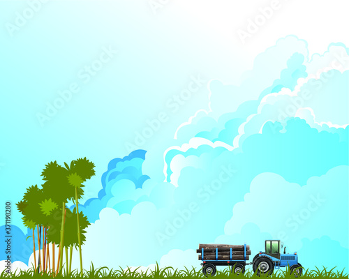 Representation of tropical rain forest deforestation by illegal logging activity set against a blue cloudy sky