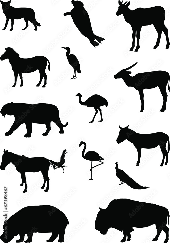 Fototapeta premium vector silhouettes of animals