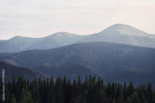 Majestic Carpathian Mountains. Beautiful landscape of untouched nature © standret