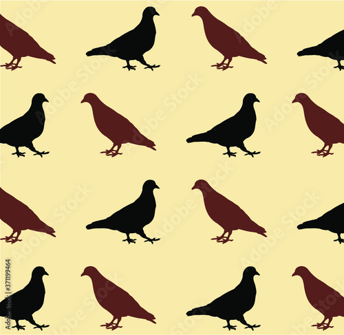 seamless pattern with pigeon