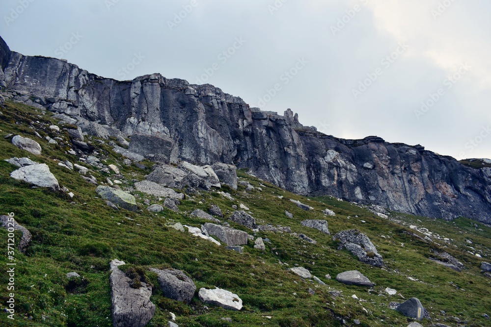 Fototapeta premium rocky mountains with green grass in summer