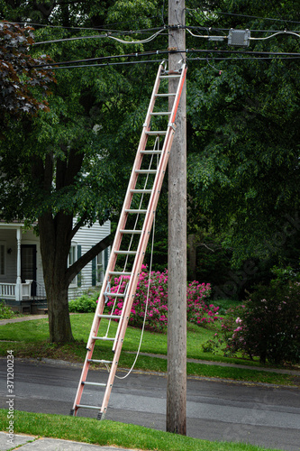 Ladder Against Utility Pole