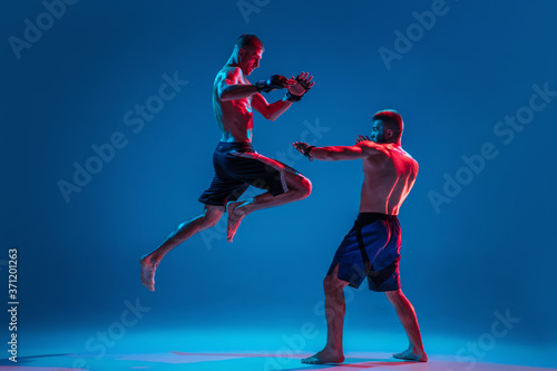 In flight. MMA. Two professional fighters punching or boxing isolated on blue studio background in neon. Fit muscular caucasian athletes or boxers fighting. Sport, competition and human emotions, ad. © master1305