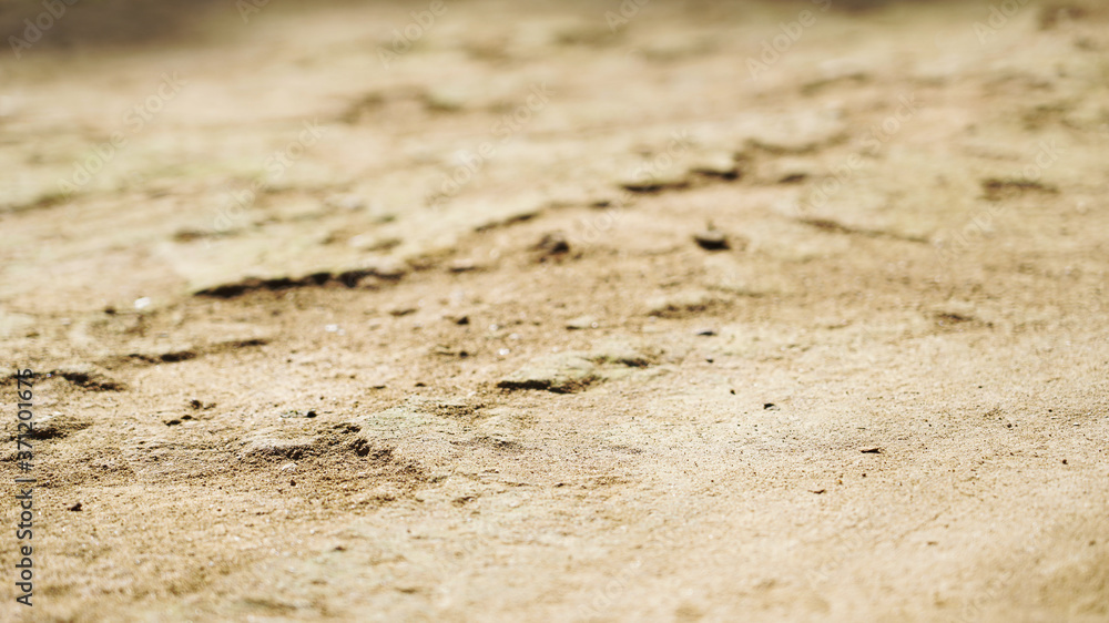 Dry soil texture and background. Dry soil texture and background.