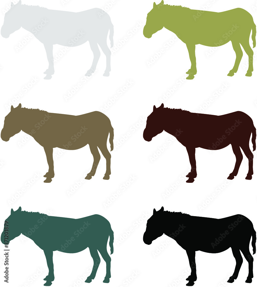donkey animals collection donkey animals collection