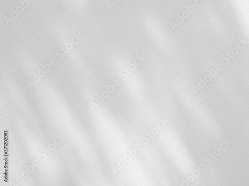 abstract shadow of leaves on white wall background