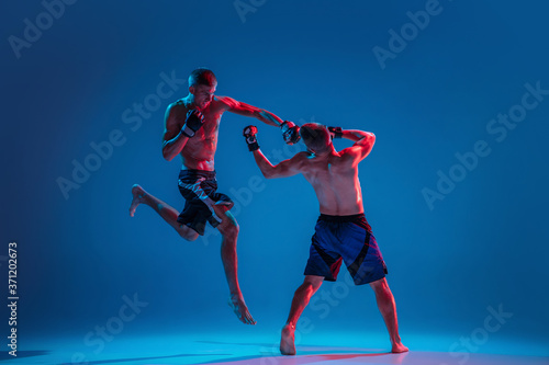 In flight. MMA. Two professional fighters punching or boxing isolated on blue studio background in neon. Fit muscular caucasian athletes or boxers fighting. Sport, competition and human emotions, ad.
