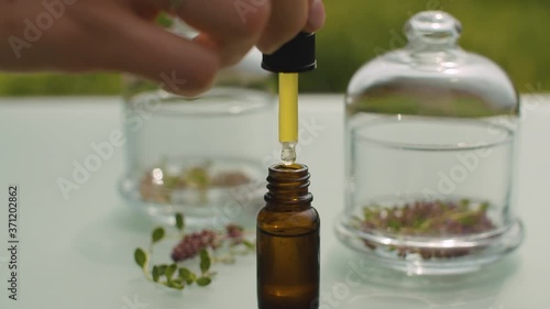 Close up thyme flowers in glass jars and essential oil on the table in the garden. Healing herbs. Natural pharmacy and aromatherapy concept. Closeup shot with slide or move camera.