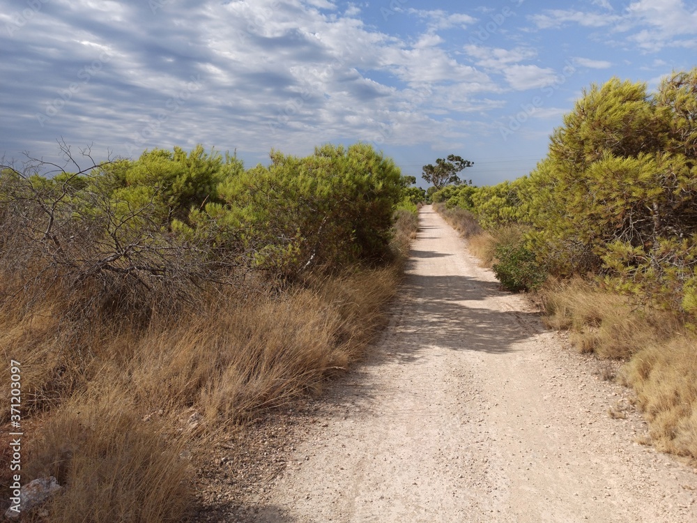 Camino en Gran Alacant