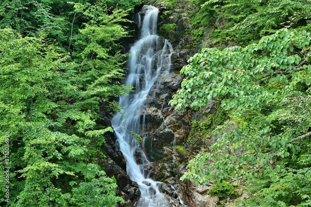 Obraz premium 東京・三頭山 三頭大滝から味わう清涼感