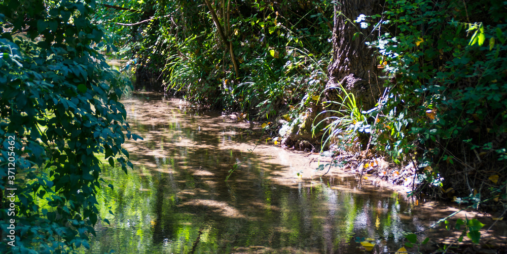 Corso d'acqua lungo la via delle cascate perdute a Sarnano Corso d'acqua lungo la via delle cascate perdute a Sarnano