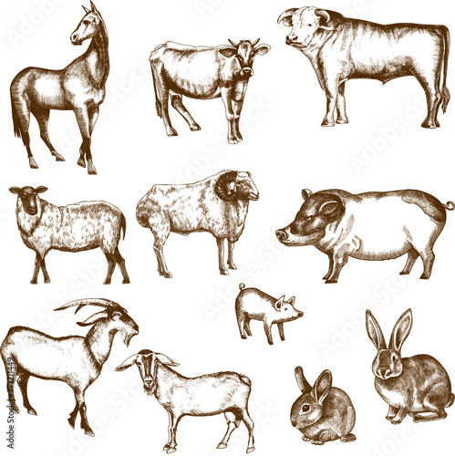 Monochrome vector farm animals set illustration. © Artemisss