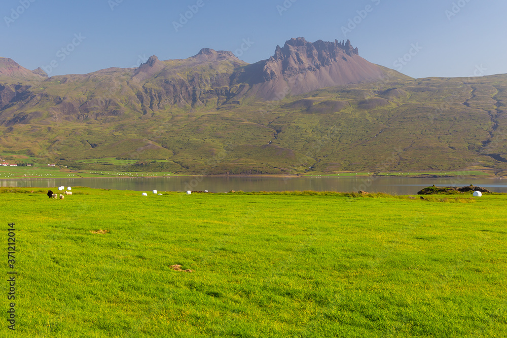 View of the coast of the Berufjordur fjord, at Pjodvegur, Iceland.