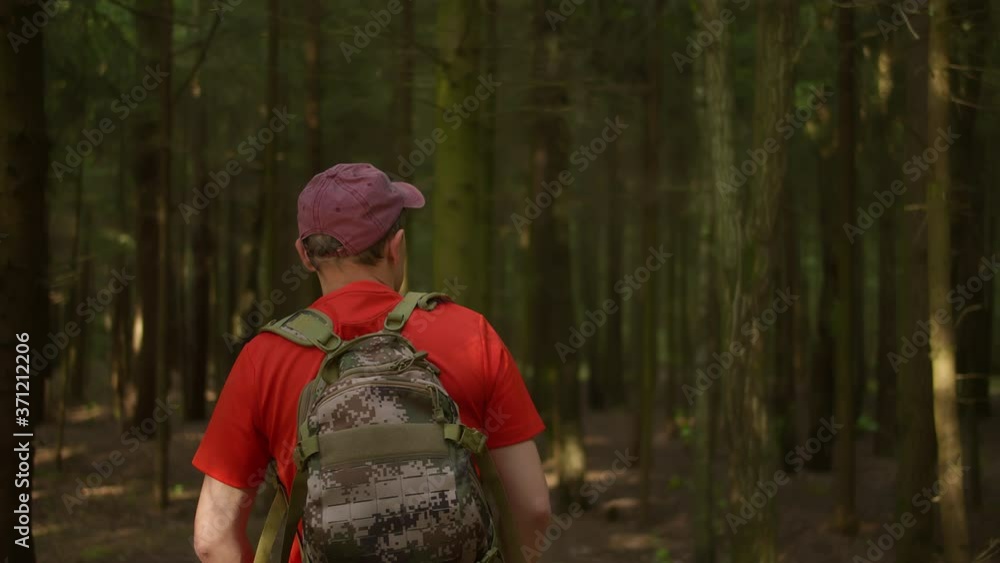 Male tourist with a backpack and a cap is walking along a forest path, rear view, camera movement Male tourist with a backpack and a cap is walking along a forest path, rear view, camera movement