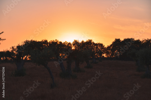 Foto del atardecer en el campo