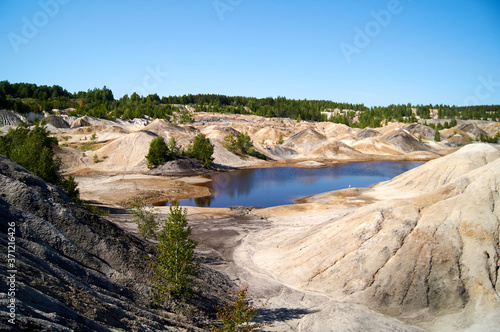 an old flooded quarry, some vegetation and seagulls